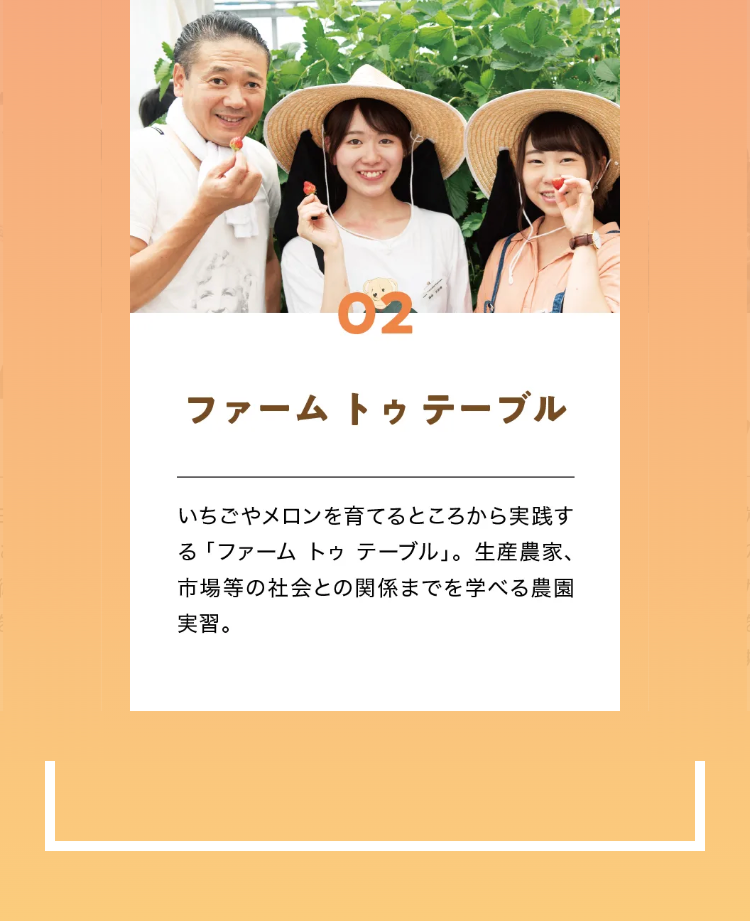 02
ファームトゥテーブル