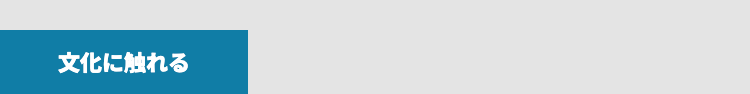 文化に触れる