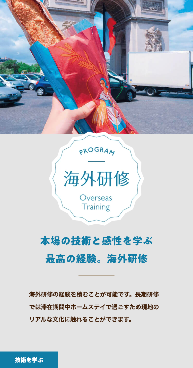 海外研修