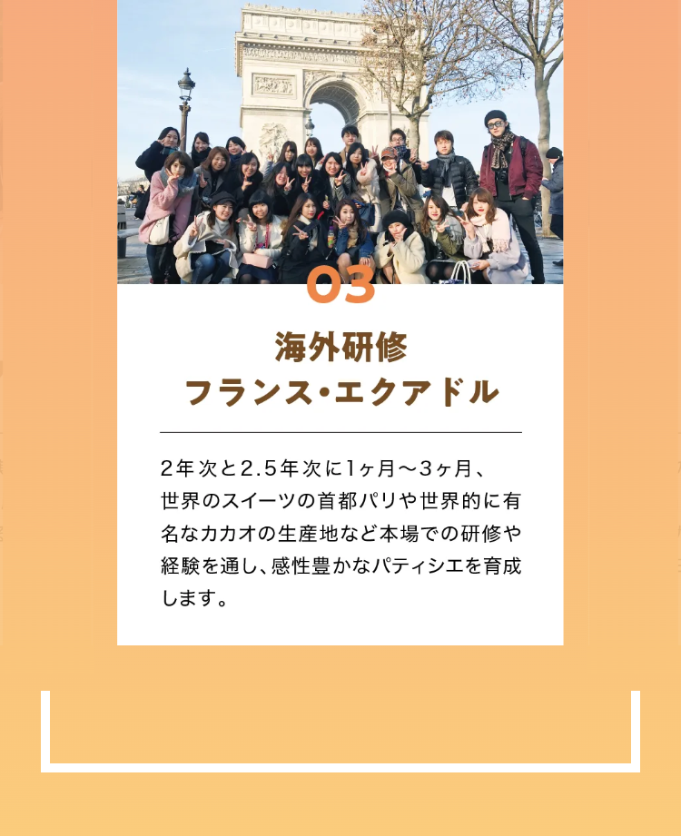 03
海外研修
フランス・エクアドル